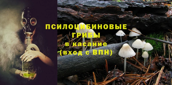 спиды Алзамай