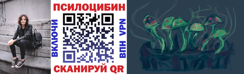 даркнет сайт  Чапаевск  Галлюциногенные грибы Psilocybe 